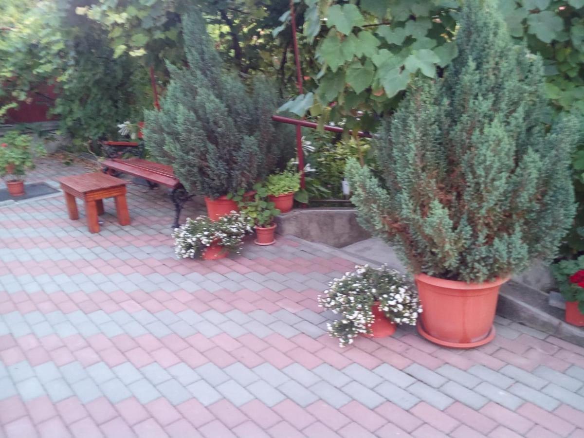 Casa Matei Casa De Vacanta Турда Екстериор снимка